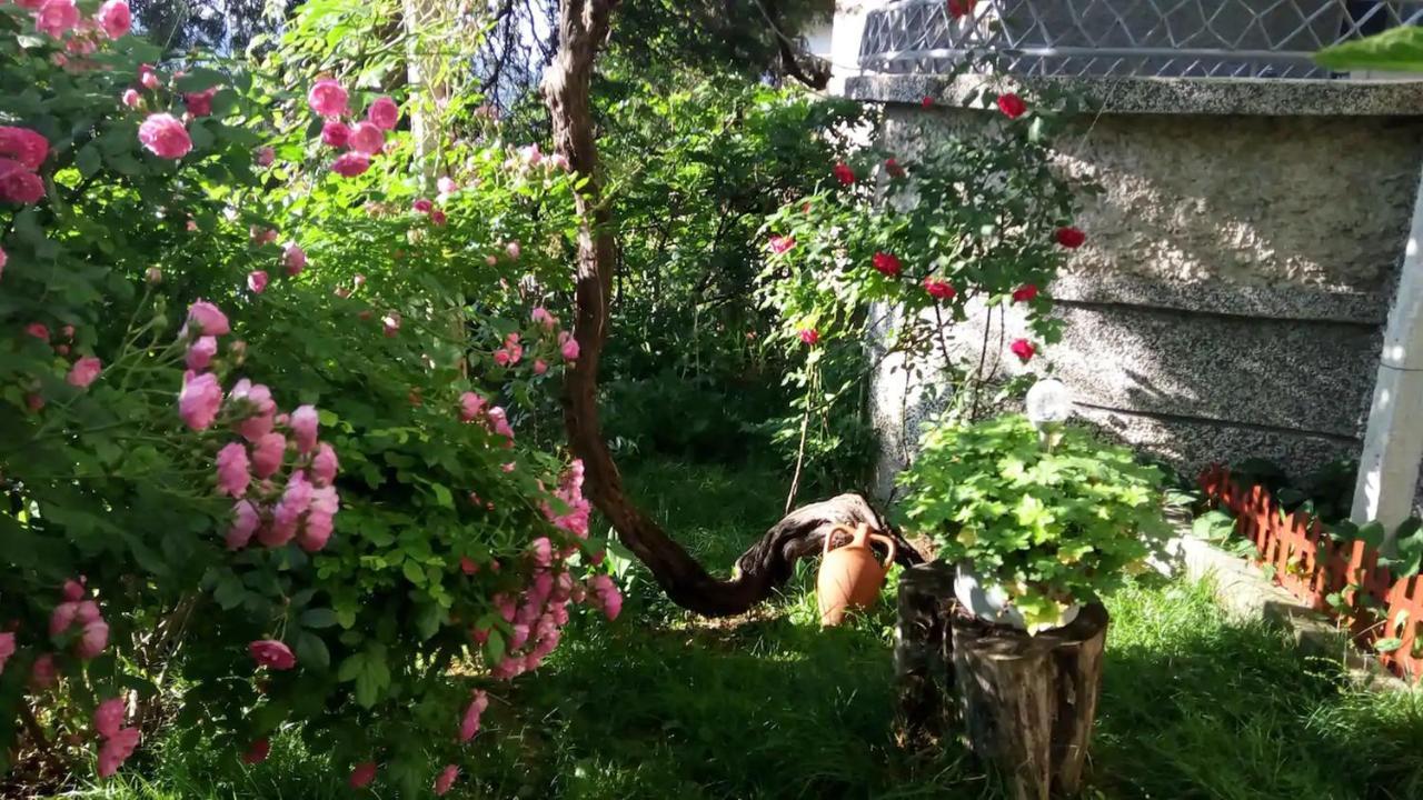 Belivanovi B&B House Veliko Tarnovo Luaran gambar
