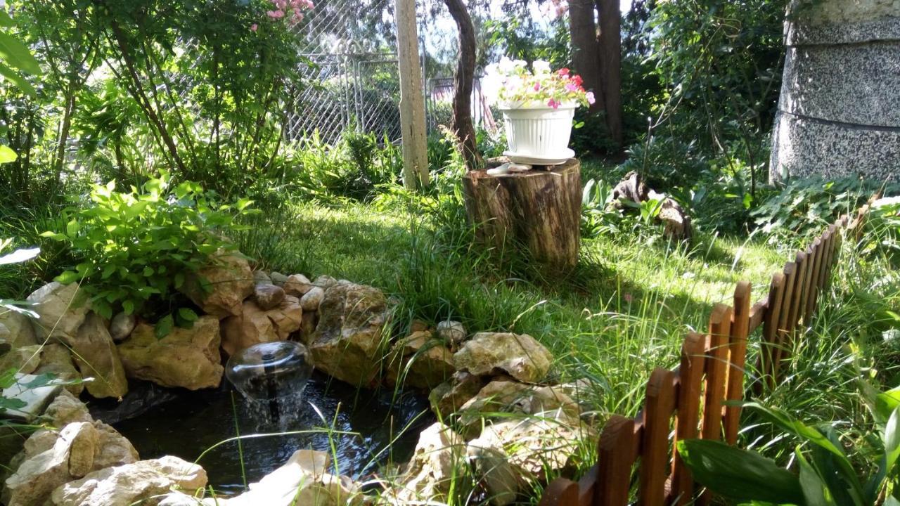 Belivanovi B&B House Veliko Tarnovo Luaran gambar