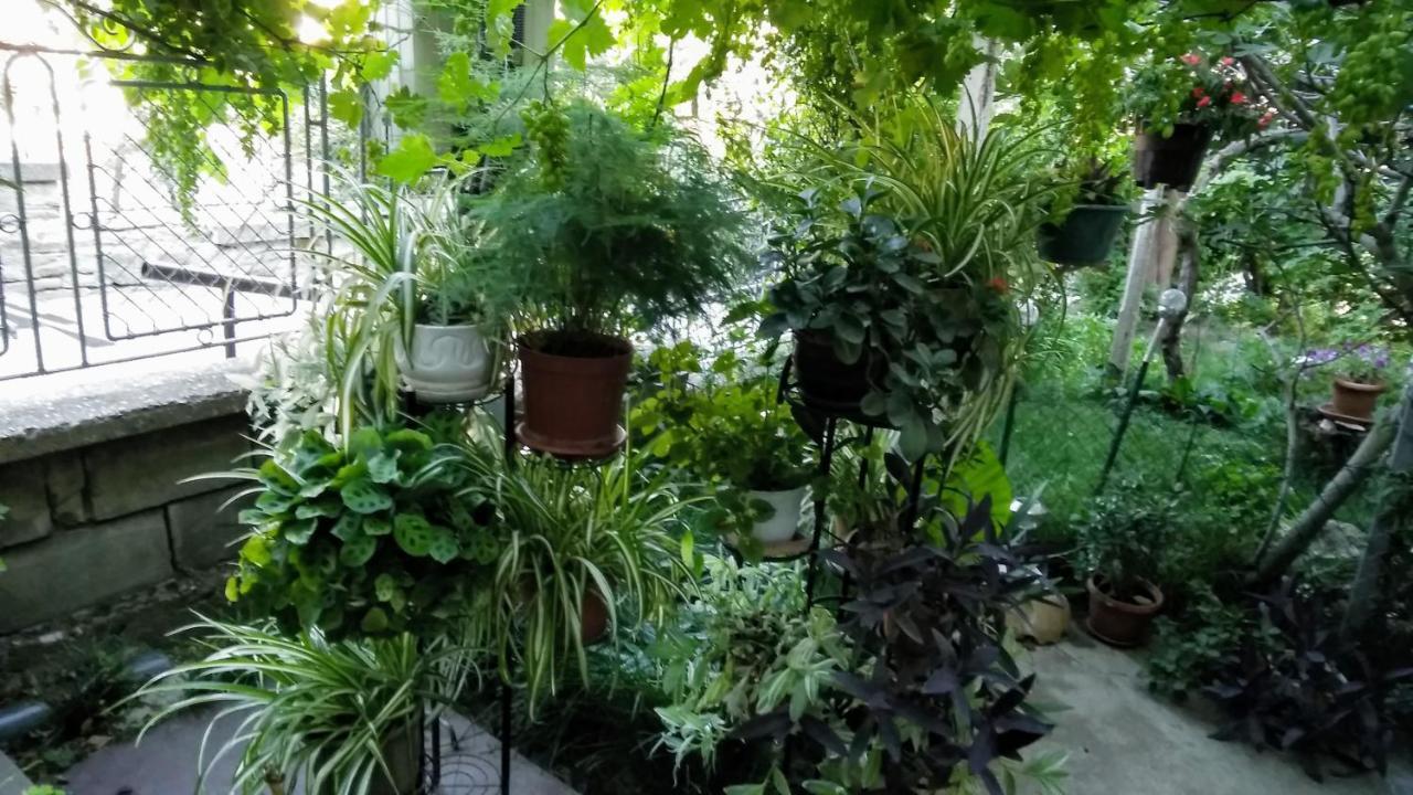 Belivanovi B&B House Veliko Tarnovo Luaran gambar